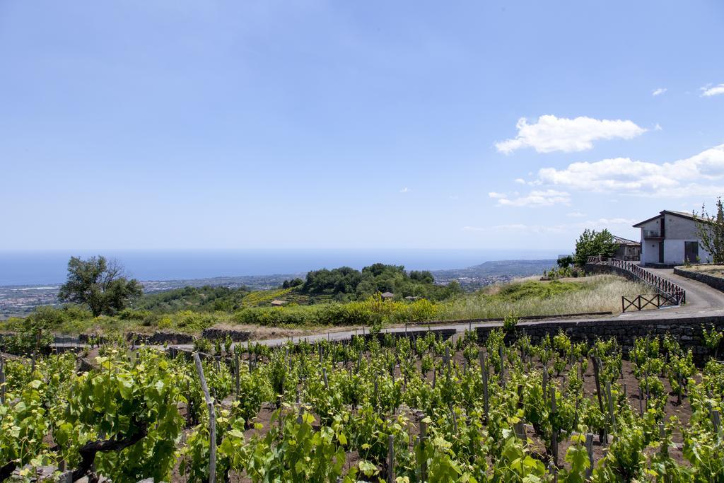 Sorbello Dell'Etna Villa Milo Bagian luar foto
